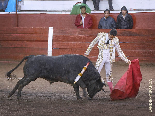 Reposo por el izquierdo