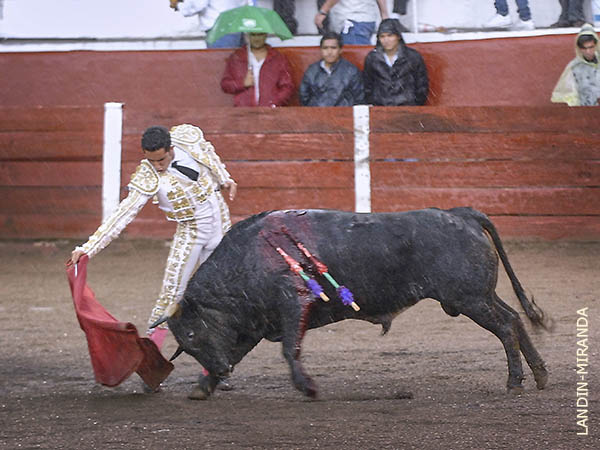 La muleta de Manuel Guti�rrez