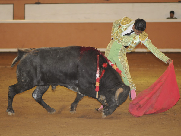 Los naturalazos de Sergio