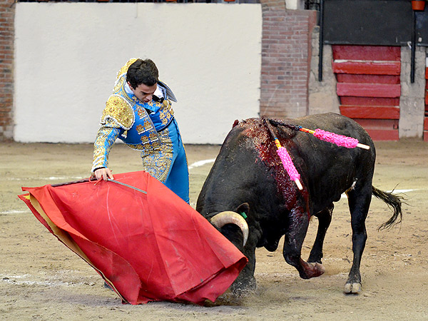 Ferrer, un torero con proyecci�n