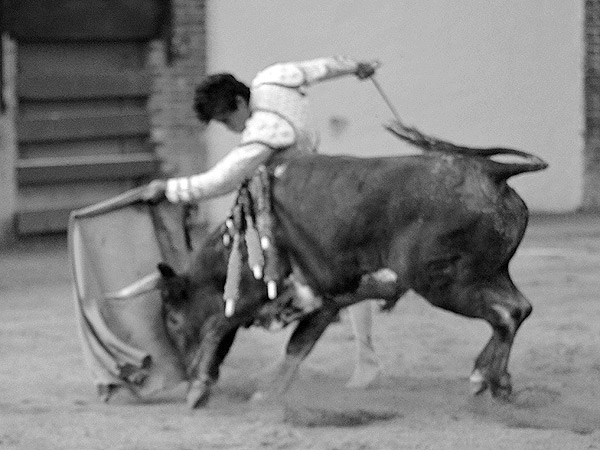 Gust� a la afici�n