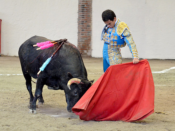 Ech�ndole gustillo