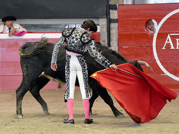 Salvatierra, en acci�n