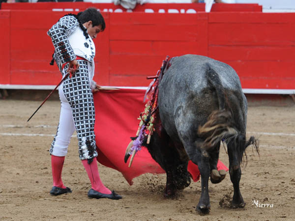 Humillado en la embestida