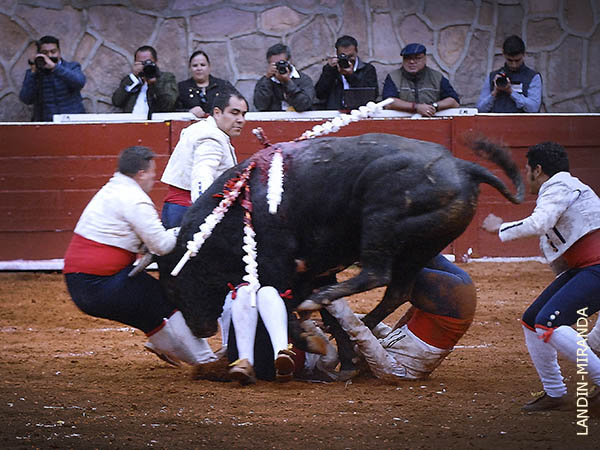 Tratando de detener un tren