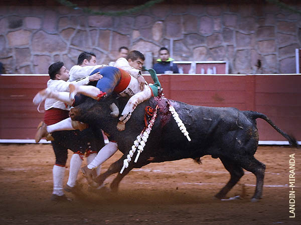 Los forcados hidalguenses
