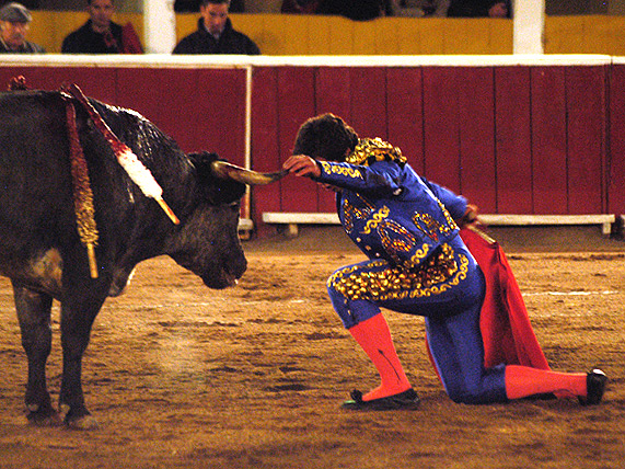 Cara a cara, toro y torero