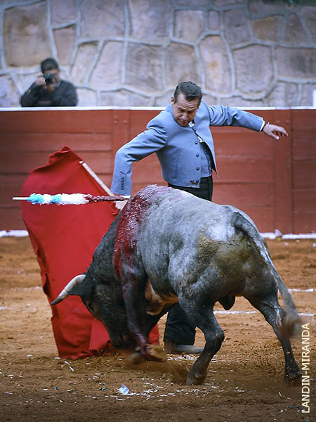 Variedad en el tercer tercio