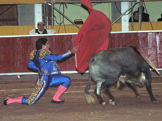 Rematando rodilla en tierra