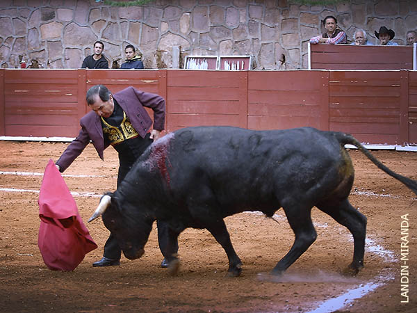 Eloy, a 50 a�os de matdor