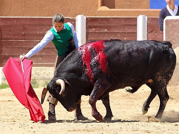 Intensa preparaci�n espa�ola