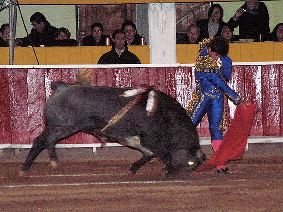 Ense�ando el camino