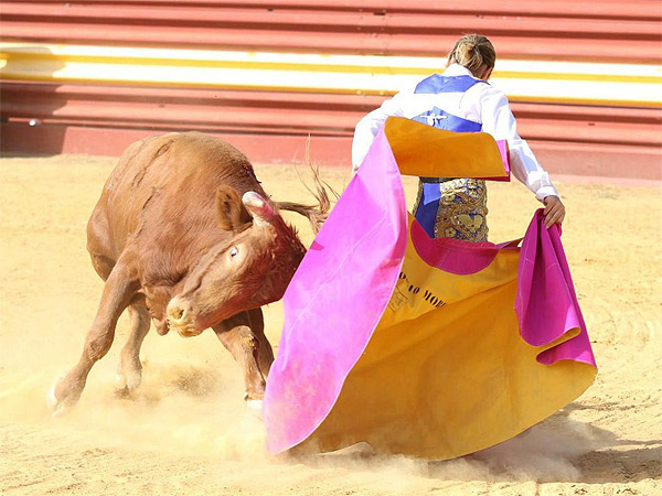 Inspiraci�n tapat�a