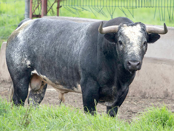 No. 830, de San Jos�