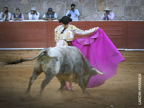 Mayest�tico quite por saltilleras