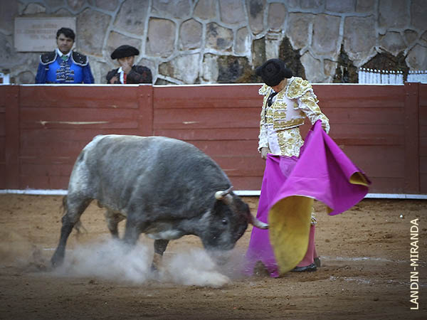 Silveti no termin� por acoplarse