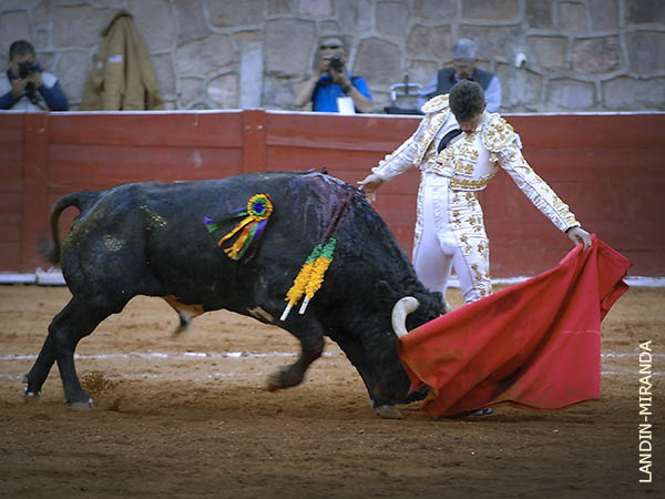 Amplia gama de registros t�cnicos