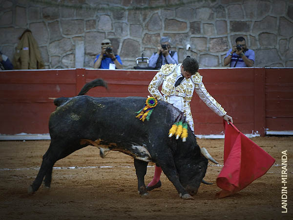 Cuando se deshizo del estoque