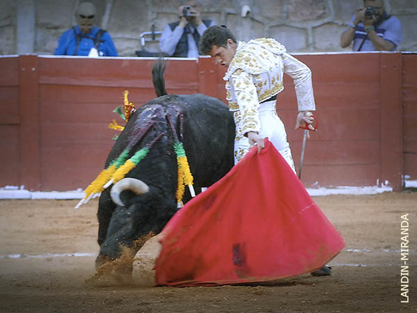 Gozando las nobles embestidas