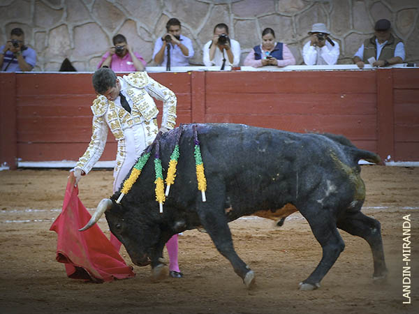 Caso omiso y se concentr� en torear