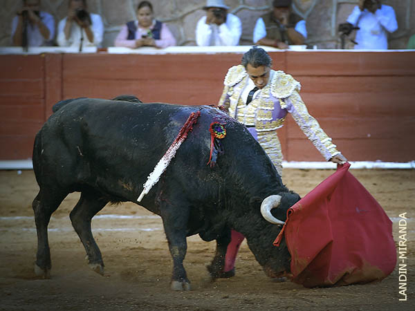 Ejemplar con m�s transmisi�n