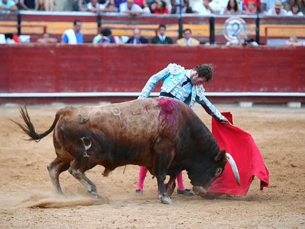 Cosech� sendas ovaciones