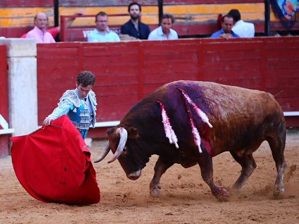 Flexiones en el tercio