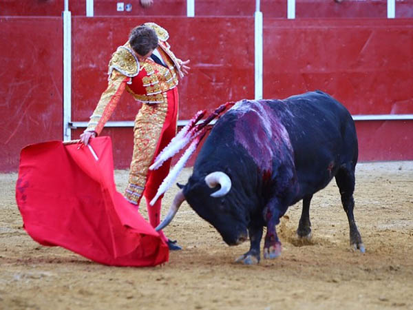 Entonada participaci�n