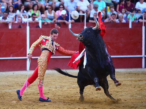 Desahogando por alto