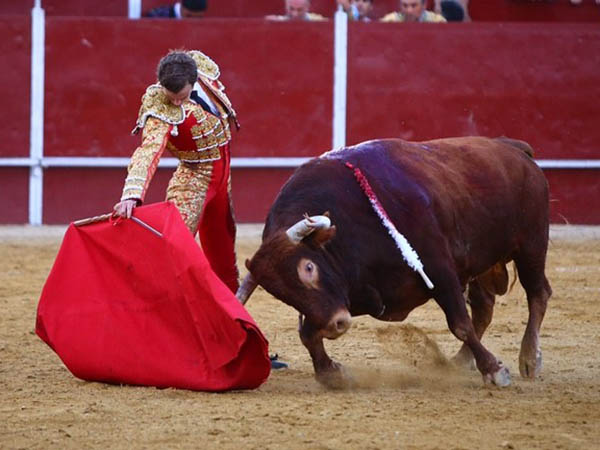 La faena al casta�o