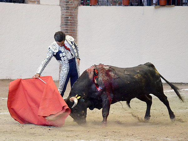 Dibuj� muletazos templados