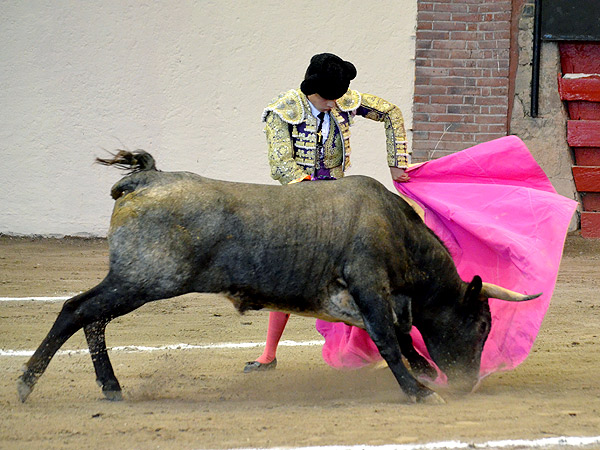 Miramontes esboza la media