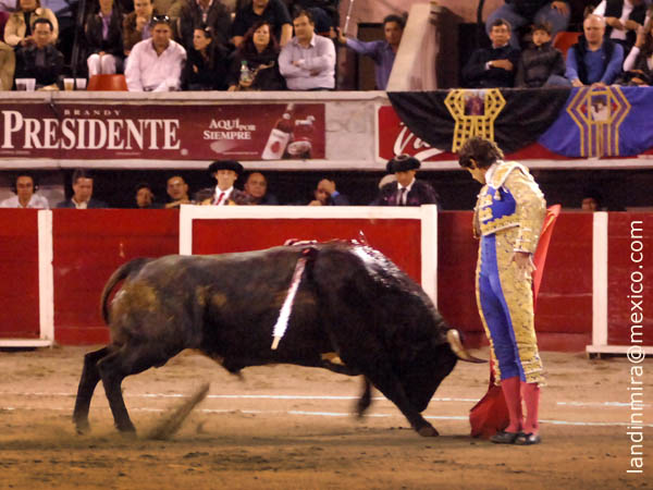 Variado en la muleta