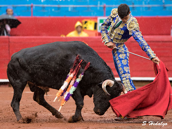 Francisco de Manuel , prestancia