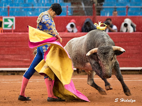 Aguantando la embestida