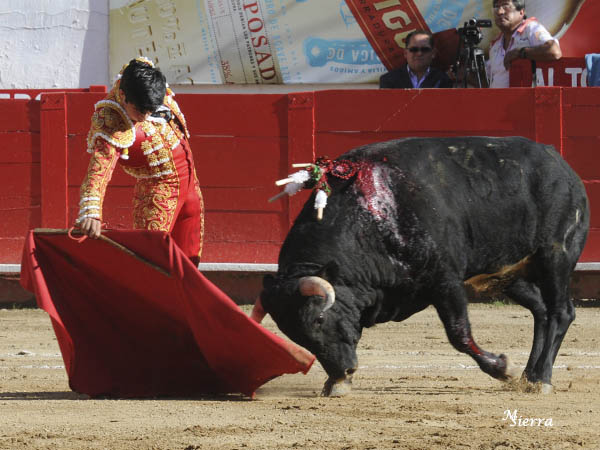 Un prospecto de la Academia