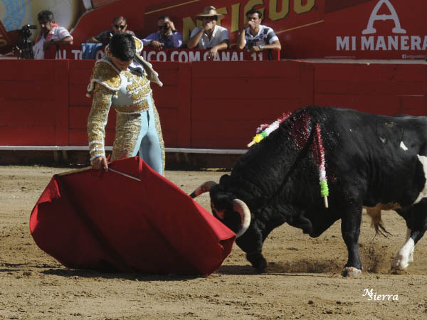 Tirando del ejemplar