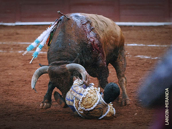 Se quit� el pit�n con la mano