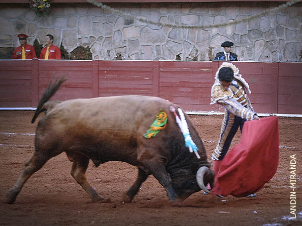 Un hondo casta�o, que hizo tercero