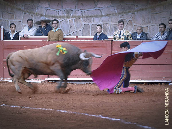 Sergio Flores, regres� a Zacatecas