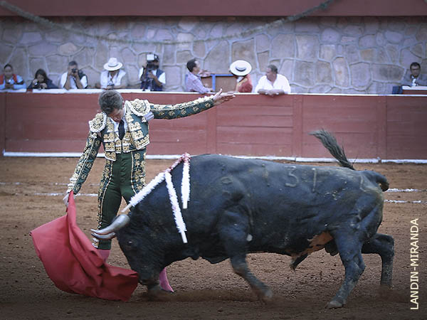 Distintos matices en su juego