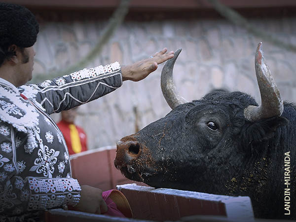 Bego�a, con seriedad y romana