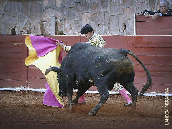 Daniel Luque, con el reverso
