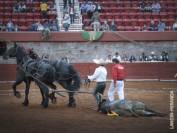 Palmas y arrastre lento al 2o.