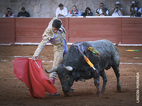 Estilo puro y bien definido