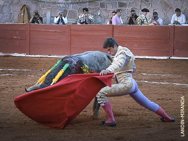 Sin forzar nunca la embestida