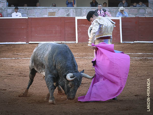 La gente entr� de lleno en la faena