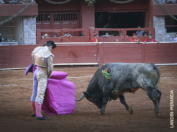 Un c�rdeno aplaudido en la salida