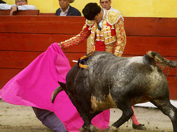 Regal� uno de San Jos�