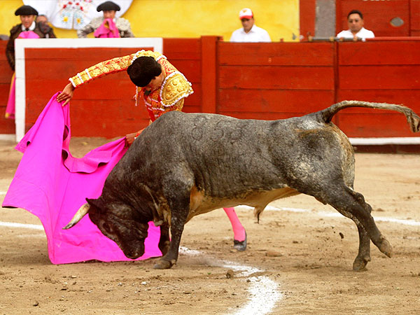 El de San Jos� metiendo la cara